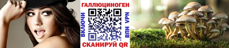 Псилоцибиновые грибы прущие грибы  Ужур 